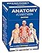 Anatomy Flash Cards: a QuickStudy Reference & Study Tool