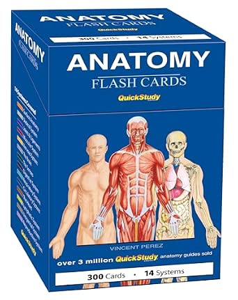 Anatomy Flash Cards: A QuickStudy Reference & Study Tool