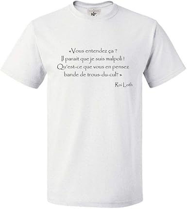 Mygoodprice T Shirt Col Rond Citation Kaamelott Roi Loth Je Suis Malpoli Amazon Fr Mode