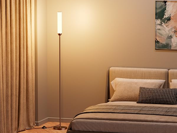 Image of Ambimall LED Floor Lamp with Remote Control, 65 inch Standing lamp with Stepless Adjustable 3000K-6500K Colors & 30-100% Brightness, Foot Switch(Brown) (Pack of 2)