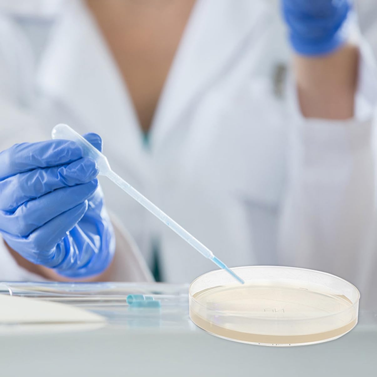 ULTECHNOVO 60piezas Placas De Petri Agar Nutritivo Prellenado Para Experimentos Científicos y De Microorganismos