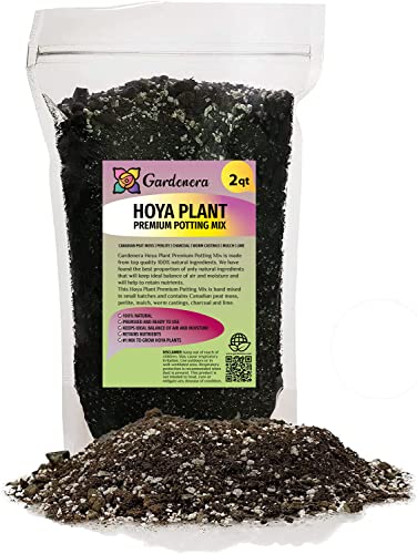 Premium Potting Mix for Hoya Plants by Gardenera - Promote