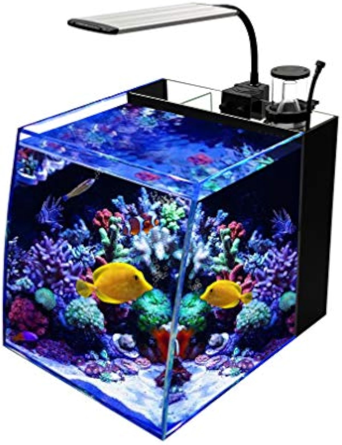 受注製作 Gankpike アクアリウムセット 超クリアガラス水槽 海水魚水槽 容量 約28l Gankpike 飼育セット 通販 オンライン日本 Www Littleshopp Com