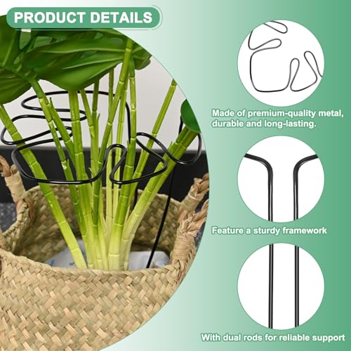 M METERXITY 2-Pack Monstera Plant Support - Image 2