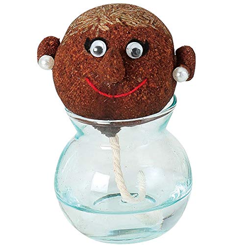 ヘアーラボ（hair LABO）ママ[水を与えると草（髪）がふさふさになる栽培キット]のサムネイル