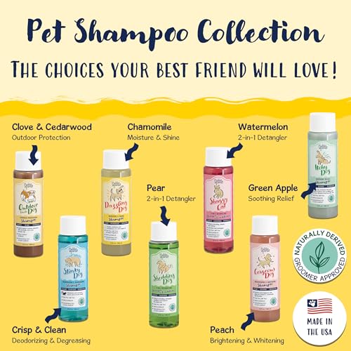 Image of Bobbi Panter Moisture & Shine Dog Shampoo Argan Oil, Chamomile & Peppermint - Deep Nourishing Natural Formula for Soft, Shiny Coat, Tear-Free, 20:1 Concentrate, Made in USA, 13 oz