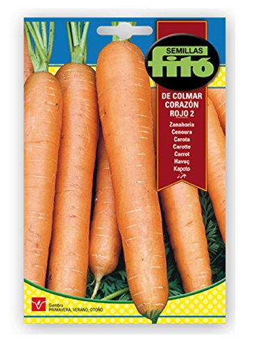 Semillas Fitó 3133 - Semillas de Zanahoria Colmar Corazón Rojo