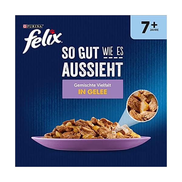 FELIX PET_FOOD – Bild 4