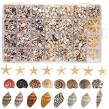 1200 PCS Tiny Seashells& 21 Starfish Mixed Bulk Beach Small Shells for Home Decor, Beach Theme Party Decorations, Fish Tank Aquarium Decor, Sea Shells for Crafting Vase Filler, Beach Candle