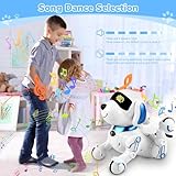Britik Spielzeug für 8+ Jahre Mädchen Junge: Roboter Hund Ferngesteuert Spielzeug ab 8 9 10 11 12 Jahre Kinder Geburtstag Geschenkideen für Mädchen Junge Roboterhund Haustier Robot Kinderspielzeug