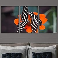 3 Piece Framed Canvas Wall Art Colorful Butterfly Insects Canvas Prints Home Artwork Decoration for Living Room,Bedroom - 16