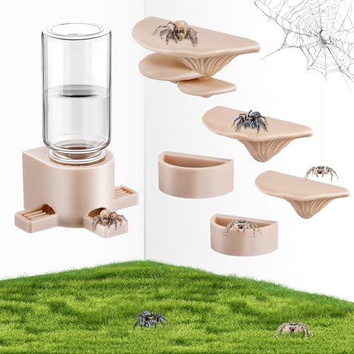 HappyAlley 6 Pcs Jumping Spider Accessories Mushroom Ledges & Feeding Dish and Water Dispenser Magnets Jumping Spider Enclosure/Habitat Decor for Small Animals Geckos Tarantulas