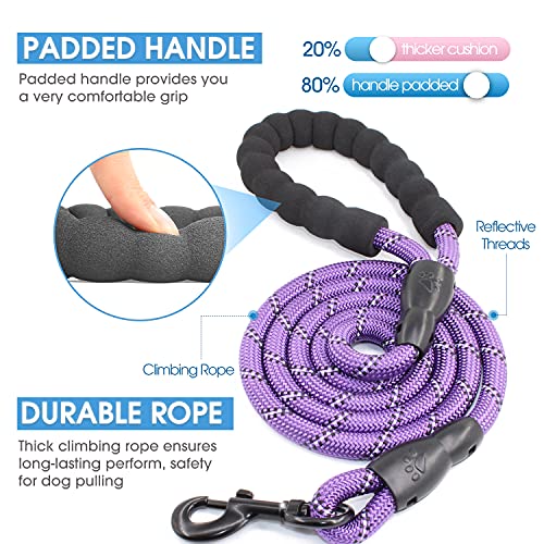 BAAPET 2/4/5/6 FT Dog Leash with Comfortable Padded Handle and Highly Reflective Threads for Small Medium and Large Dogs (5FT-1/2'', Purple) - Image 3