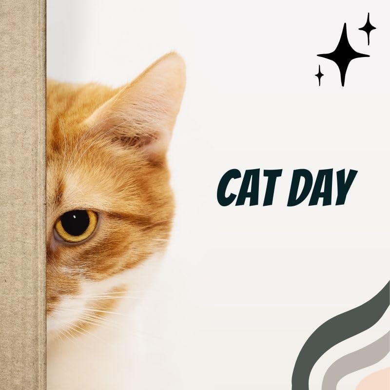 猫用ニュータードケア１．５ｋｇサイズ２袋 楽天市場】猫用 ニュータードケア 1.5kgx1【ロイヤルカナン食事