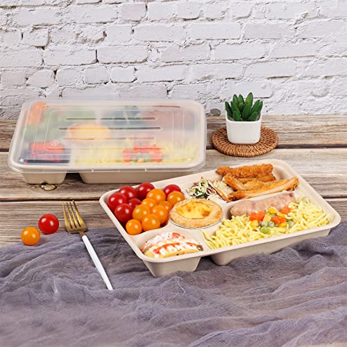Jayeey 40 Oz 5 Compartments Disposable Plates With Pp Lids Food Container Sets Kids Lunch Box Bento Box Eco-Friendly Plant Fibers Microwave & Freezer Safe 25 Pack #TOP5