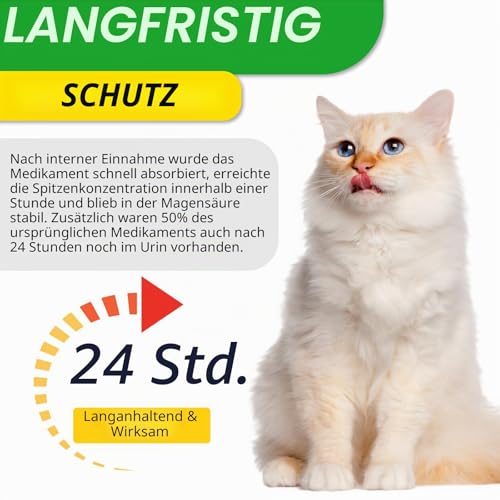 Natürliche Antibiotika für Katzen, Katzenantibiotika für Allergie & Juckreiz, Unterstützung der Haustierhaut, Fell, Verdauung, natürlicher Rösthuhn-Geschmack