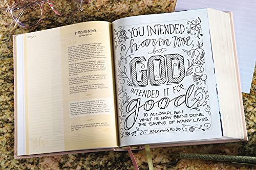 Niv, Radiant Virtues Bible: A Beautiful Word Collection, Cloth Over Board, Pink, Red Letter, Comfort