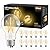 DAYBETTER 12 Pack A19 Vintage LED Edison Bulbs, 60W Equivalent Dimmable LED Bulbs, High Brightness 2700K Warm White, 800 Lumens, 8W E26 Standard Base, CRI80+, Clear Glass Filament Bulb for Living Room