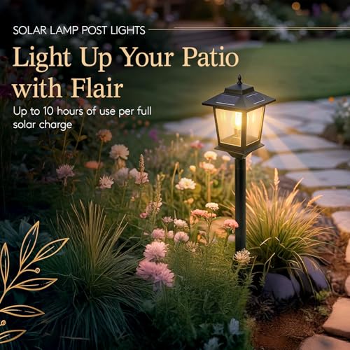 El Mejor Listado de Lamparas de farol . 11 lamparas de farol marca PASAMIC (2)
