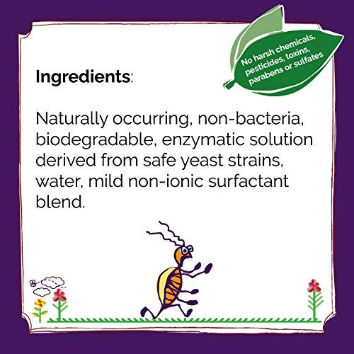 Lice Goodbye Nit Removal Kit With Comb By Fairy Tales For Kids - 4 Oz Mousse #TOP2