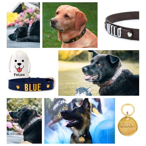 EM-Keramik Halsband – handgemacht mit Lavaperlen | elastisch & wetterfest | personalisierbar | in verschiedenen Größen für Hunde