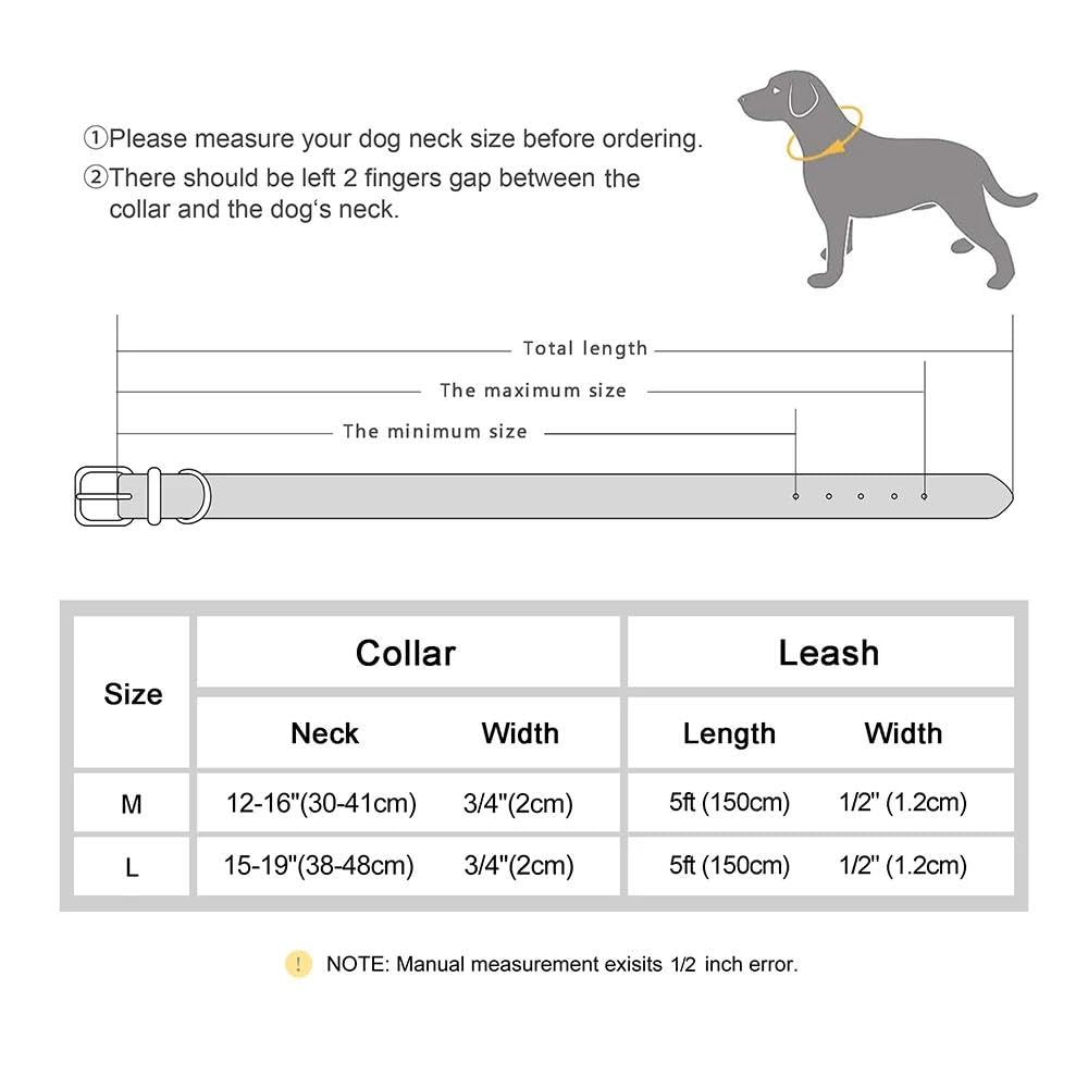 Set Collare E Guinzaglio Per Cani In Pelle Resistente Set Collare E Guinzaglio Per Cani Intrecciati Set Collare E Guinzaglio Per Cani In Pelle PU Set Collare E Guinzaglio Per Animali Domesti