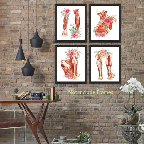 Image of TANXM Unframed Muscle Anatomy Canvas Wall Art Set of 6 | Watercolor Human Physiology Medical Decor for Clinic Study Room, Educational Prints, 8x10 Inch