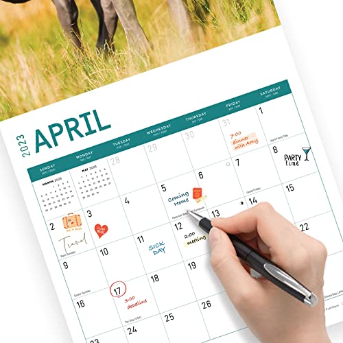 2023 Great Danes Wall Calendar By Bright Day, 12X12 Inch, Cute Adorable Pet Puppy Dog Photography #TOP4