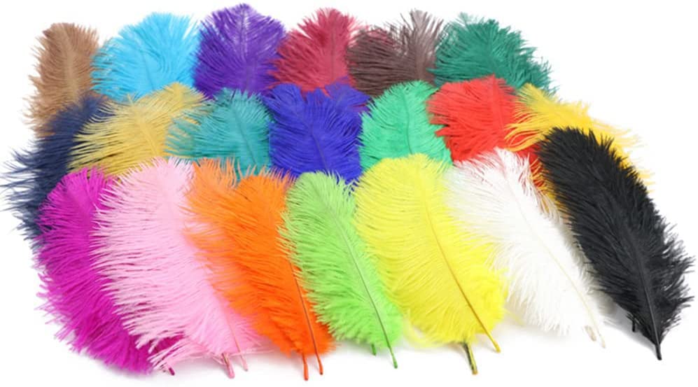 Piume Di Struzzo Naturali Be In Your Mind - 15 Pezzi Colorati 25-30cm | Per Artigianato E Decorazione - Foto 2