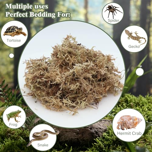 AQUA KT Réptil Premium Sphagnum Live Moss Bedding for Tree Frog Lagarto Snake Hamster Eremita Carang