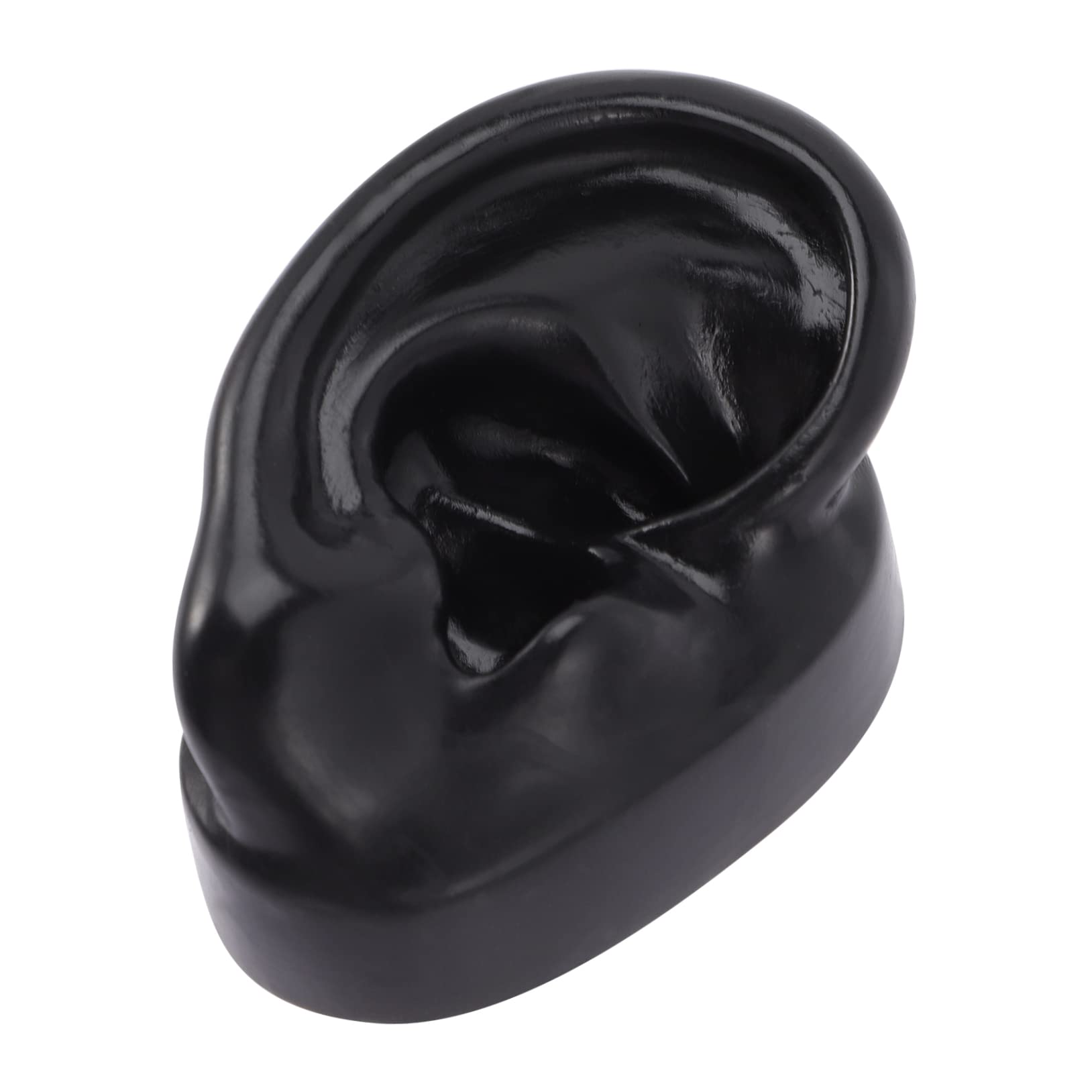 AUTSUPPL Anatomical Ring Ear Piercing Model No Silicone Fake Ear for Jewelry Display