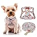 CHEDE No Pull Floral Pattern Dog Harness- Lightweight, Soft, Adjustable Small Harness and Leash Set, Suitable for Puppy Small and Medium-Sized Dog (XS, Orange Rose)