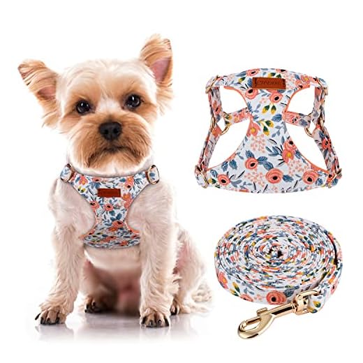 CHEDE No Pull Floral pattern Dog Harness- Lightweight and Soft Dog Harness, Adjustable Small Dog Harness and Leash Set, with Dog Leash, Suitable for Puppy Small and Medium-sized Dog (XXS, Orange Rose)