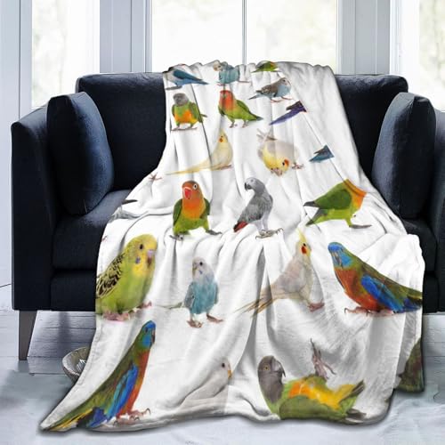 ѕz CR IE  (1) Aj Ђ| y  uPbg tl 􂦂 ÓdCh~ g _炩 Ȃ߂炩ȔG lGKp 蕨 ZZX177R 150X200cm