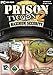 Produktbild Prison Tycoon 2: Maximum Security