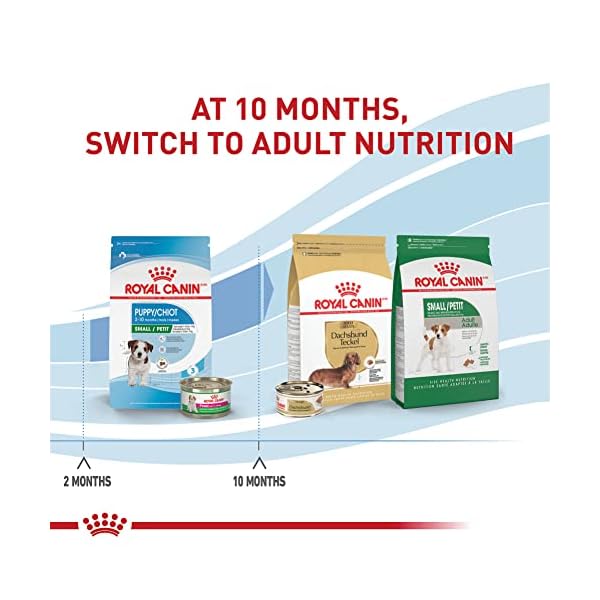 ROYAL CANIN Size Health Nutrition Mini Puppy Dry Dog Food, 2,5-Pound by – Bild 7