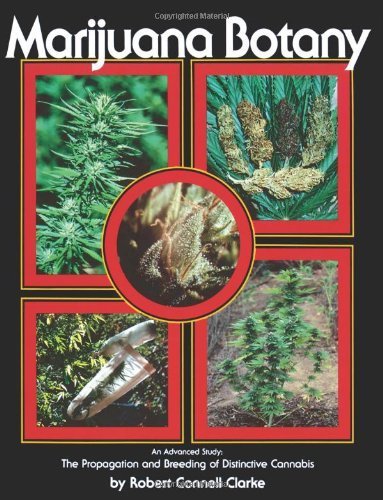 Marijuana Botany: An Advanced Study: The Propagation and Breeding of Distinctive Cannabis by Clarke, Robert Connell (1993) Paperback 51SHhjOTZdL. SL500 - Marijuana Botany: An Advanced Study: The Propagation and Breeding of Distinctive Cannabis by Clarke, Robert Connell (1993) Paperback