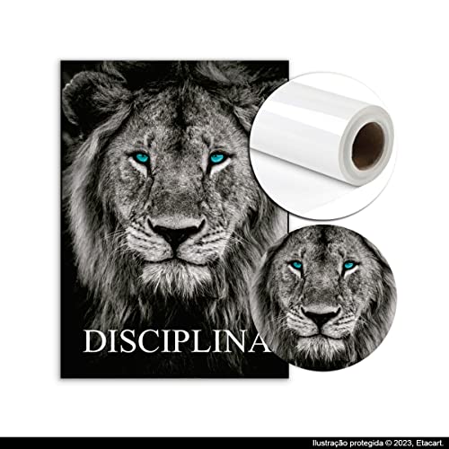 Quadros Decorativos Disciplina Execução Foco Leão