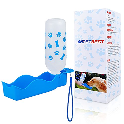 Best Portable Water Bottles