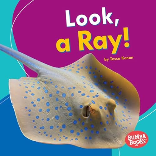 Diseño de la portada del título Look, a Ray!