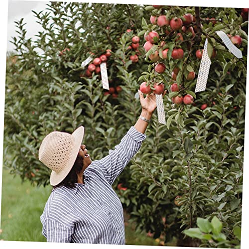 POPETPOP 2 Rolos Fitas Pássaros Discos Pássaros Fitas Espirais Flash Reflexiva Adesiva Decorativa O