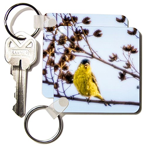 Porte-clés Jaune Finch 3drose lot de 2 accessoires de rangement 5,7x11,4 cm