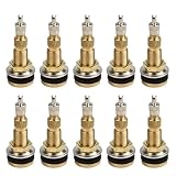 Lot de 10 tiges de valve de pneu TR618A en laiton sans chambre à air pour tracteur agricole, valves de jante de roue à air liquide avec trou de 20,3 cm, tige d'équipement agricole robuste