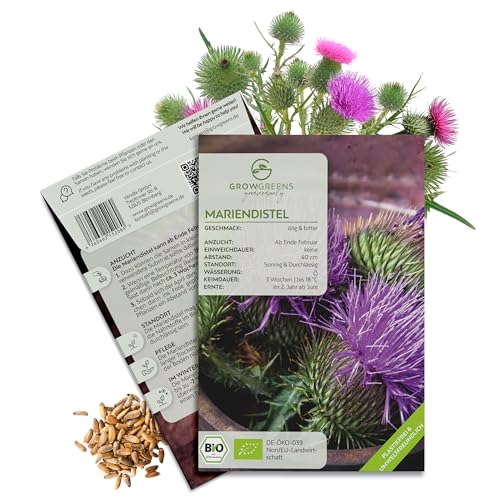 BIO Mariendistel Samen - Heilkräuter Saatgut aus biologischem Anbau ideal für den heimischen Kräutergarten Balkon & Garten (50 Korn)