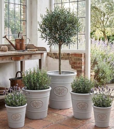 Garden Plant Pot Plastic Outdoor & Indoor Use Heavy Duty Frost Proof Small and Large with Drainage Holes Sage Green Grey 17cm 23cm 30cm 40cm Or 55cm (Light Grey 40cm x 40cm 34 Litres)
