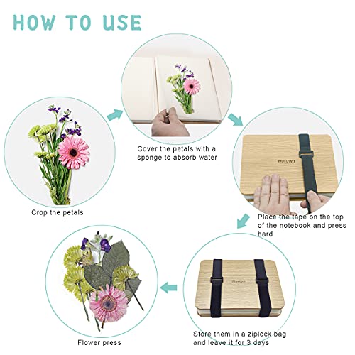 The 28 Best Kids' Flower Press Kits of 2024 [Verified] Cherry Picks