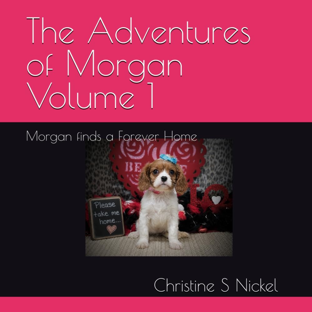The Adventures of Morgan Volume 1: Morgan finds a Forever Home