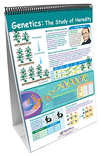 Image of NewPath Learning - 34-6014 10 Piece Science Genetics and Heredity Curriculum Mastery Flip Chart Set, Grade 6-10
