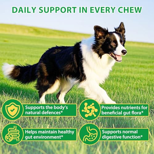 Probiotics for Dogs, 120 Natural Soft Chews with Pumpkin & Flaxseed | Pre & Probiotic Blend to Support Digestive Function, Gut Flora Balance, Immune Health & Everyday Vitality - Image 5