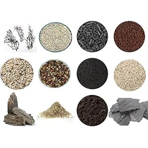 RETNE Starterset XL zeewindmolen voor het maken van mini-tuin, terrarium, flessenguin, terrarium/biotop/ecosysteem